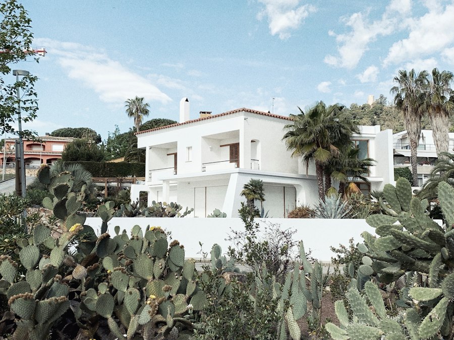Maison blanche à deux étages entourée d'arbres